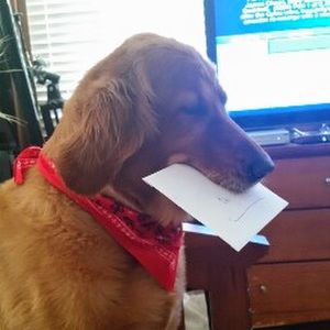 Meet your Posher, Tommy